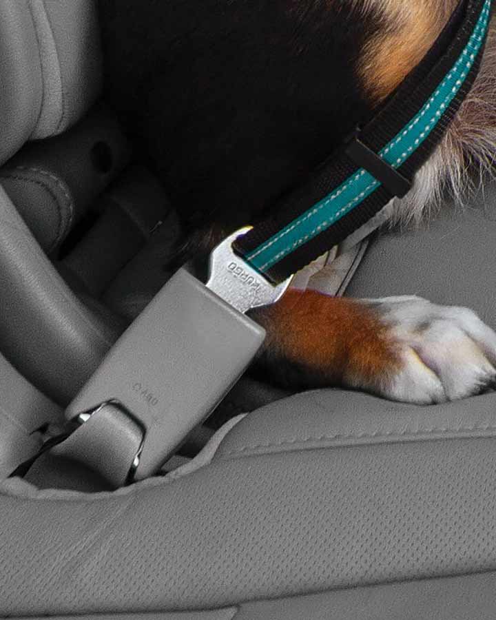 Dog using Kurgo Swivel Seat Belt Strap