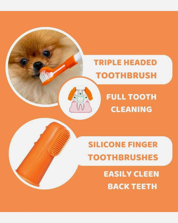 Dental care kit with toothpaste and toothbrushes for dogs