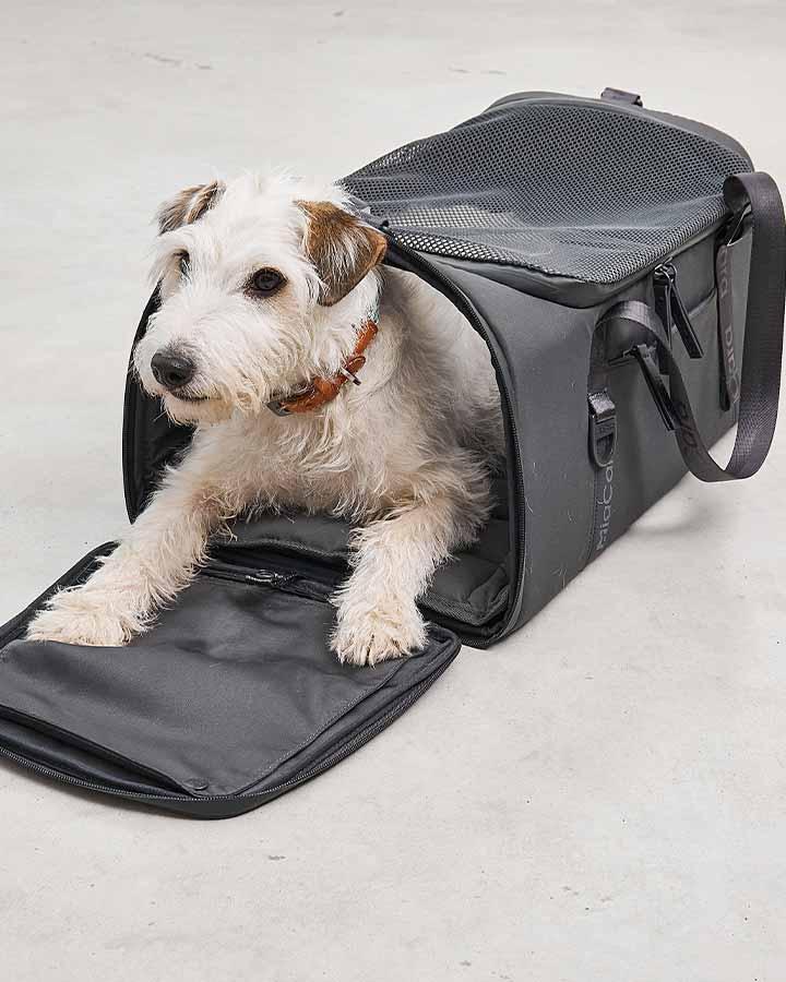 Dog travel bag