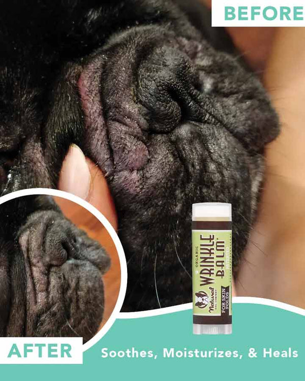 Natural Dog Company Wrinkle Balm