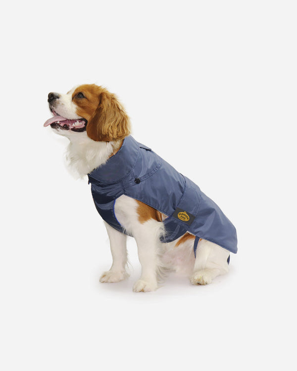 Fashion Dog Waterproof Coat - Blue - art.109 - PetLux