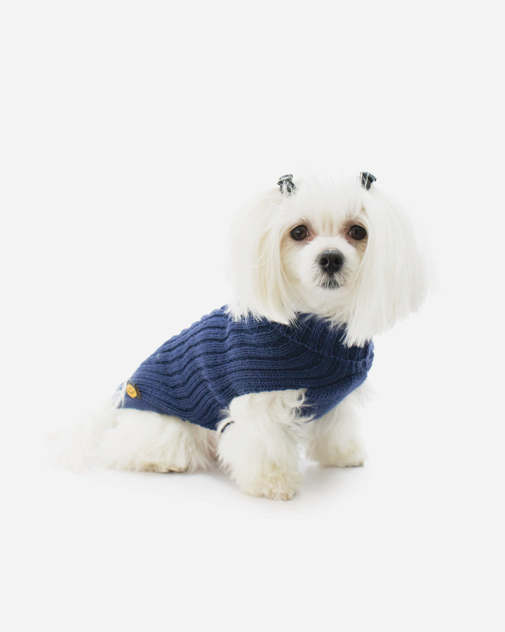 Dog wearing blue knitted sweater - Fashion Dog - art.303