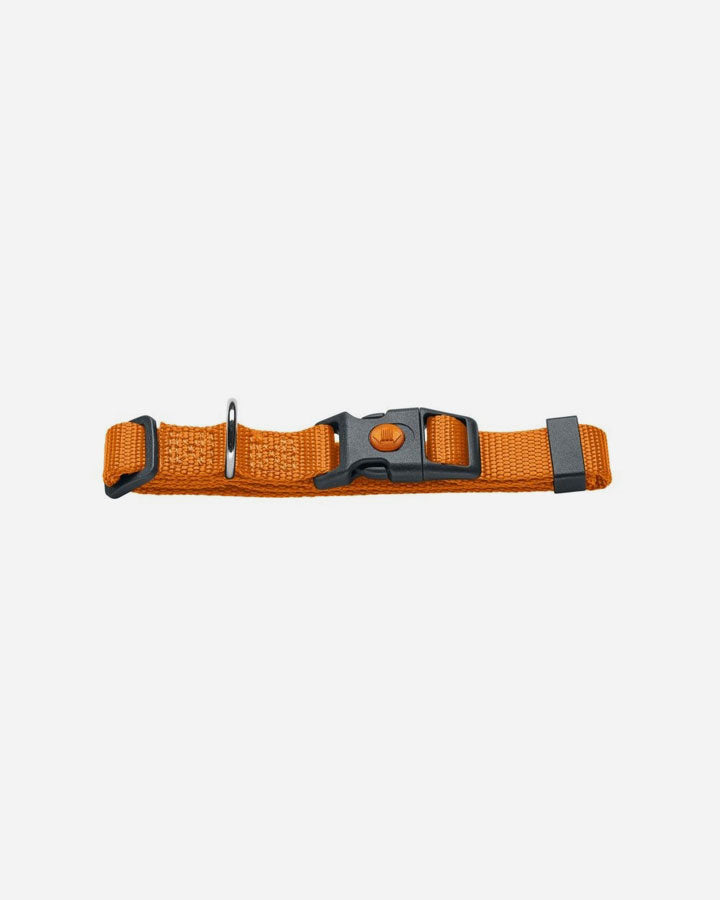 Hunter Utility Dog Collar - London - Orange - Medium