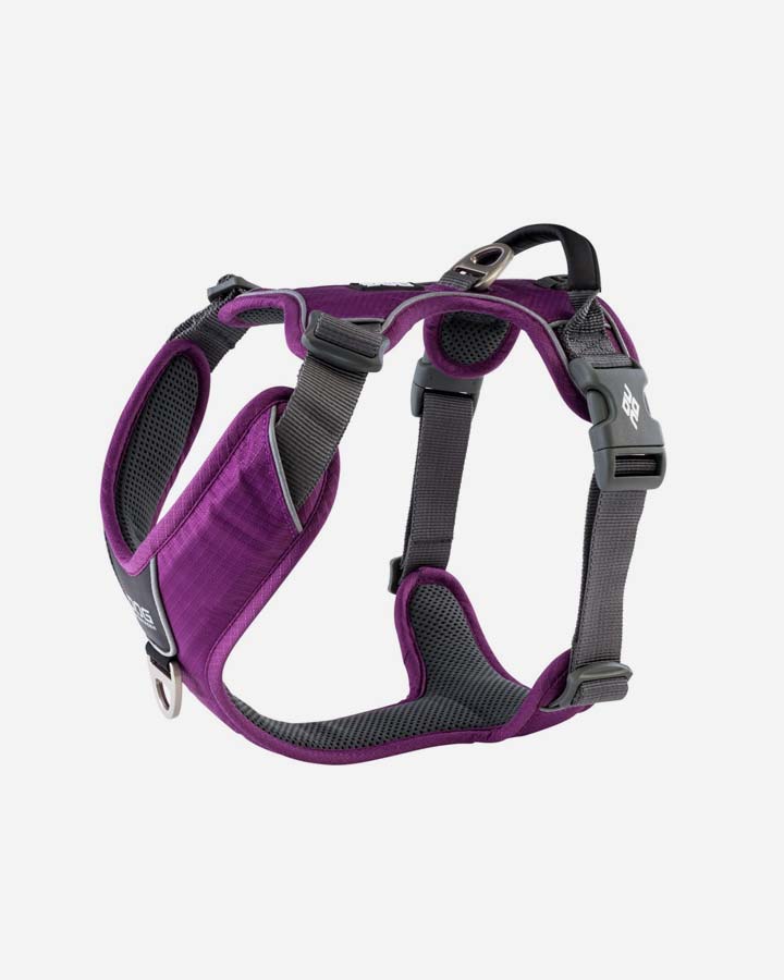 Comfort Walk Pro Dog Harness - Purple - PetLux