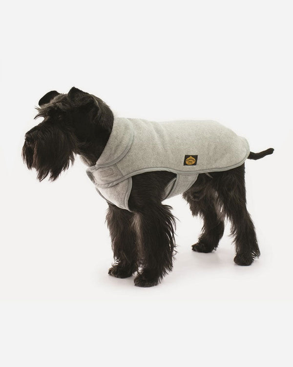 Dog wearing fleece coat - Fashion Dog