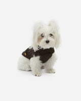Dog wearing Fashion Dog Knitted Sweater