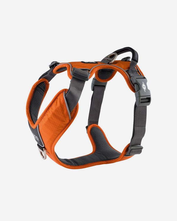 Comfort Walk Pro Dog Harness - Orange Sun - PetLux