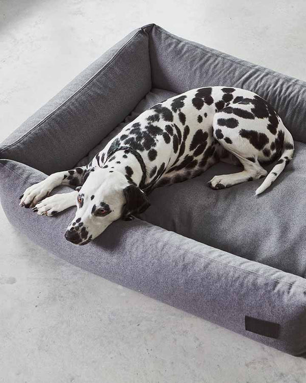 Dobberman lying on MiaCara Divo Dog Bed