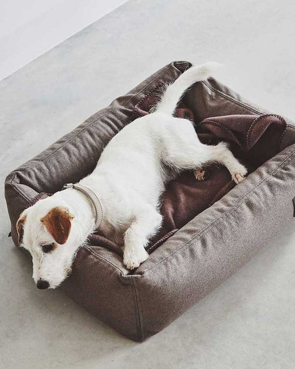Dog lying on MiaCara Divo - dog bed