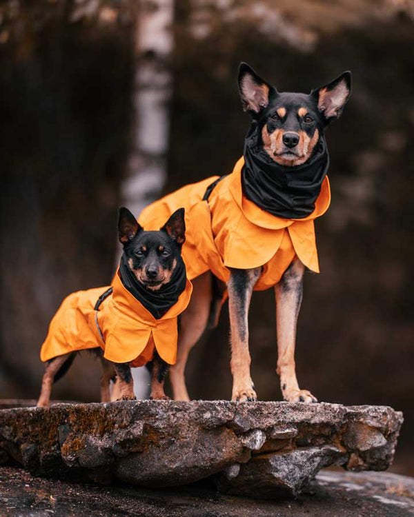 Paikka Recovery Raincoat - Orange