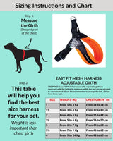 Tre Ponti Mini Mesh Harness - with adjustment - size guide