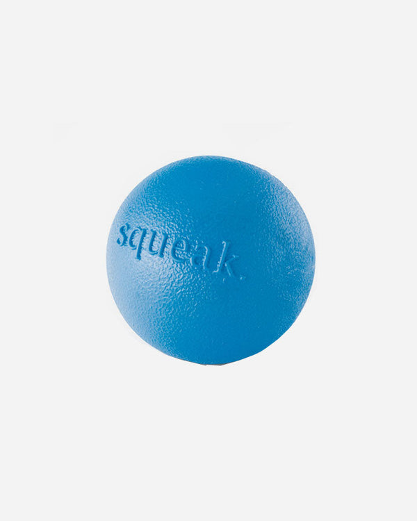 Planet Dog Squeak Ball - Blue
