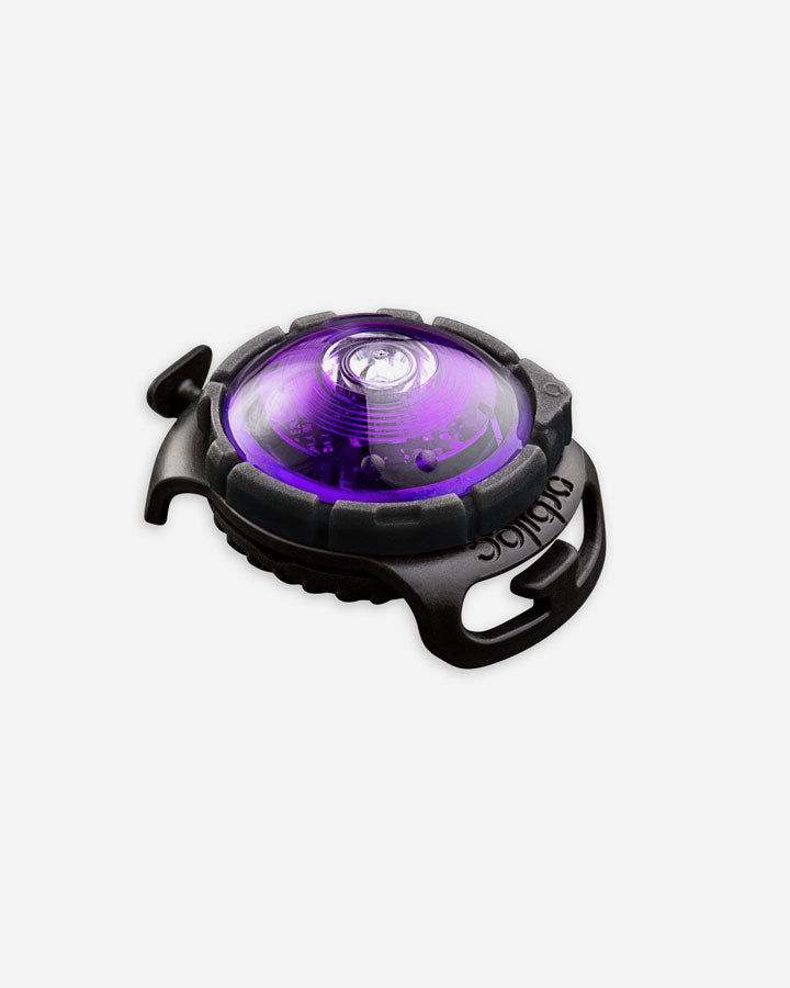 Orbiloc Dog Dual - safety light - purple