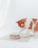 Underlay for food bowl and water bowl - Cat