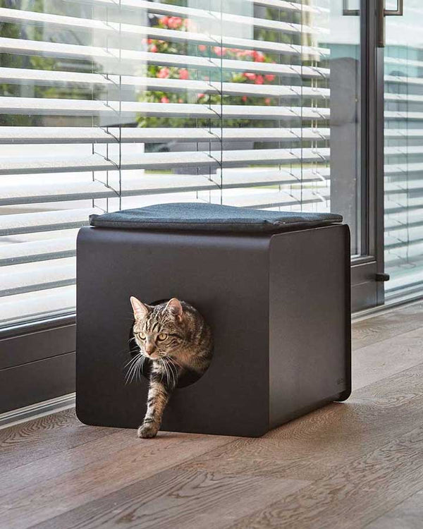 Cat Litter Box - Sito 