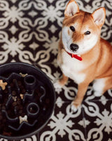 Is your dog eating too fast?