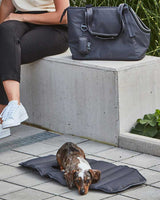 Dog Carrier Bag - Sporta (Asphalt)