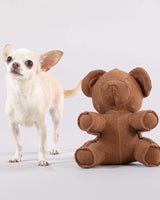 Dog with Paikka Teddy Toy