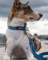 Dog wearing Urban Style Collar - Ocean Blue
