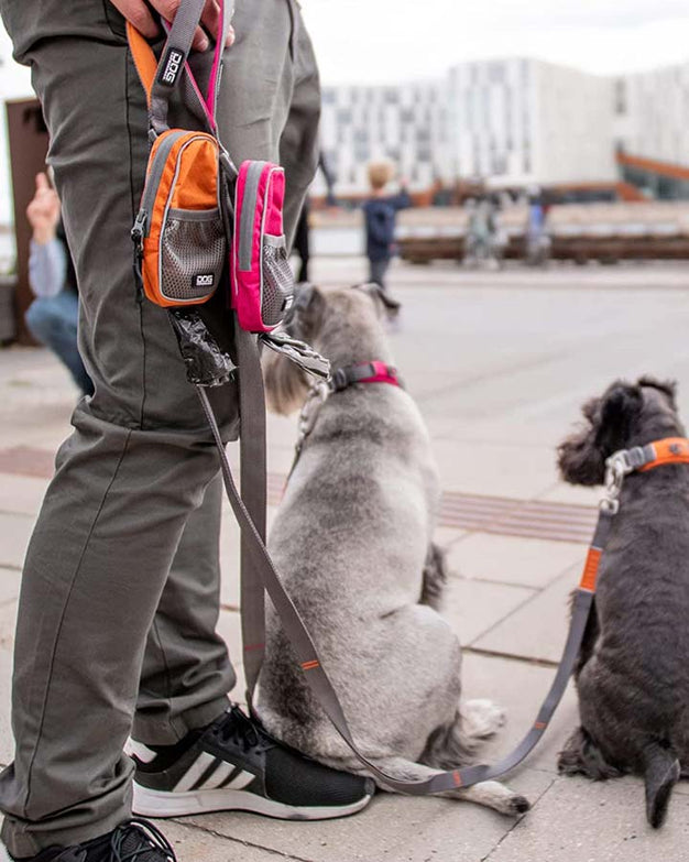 Dogs with Urban Trail Leash