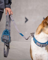 Dog with Urban Trail Dog Leash - Ocean Blue