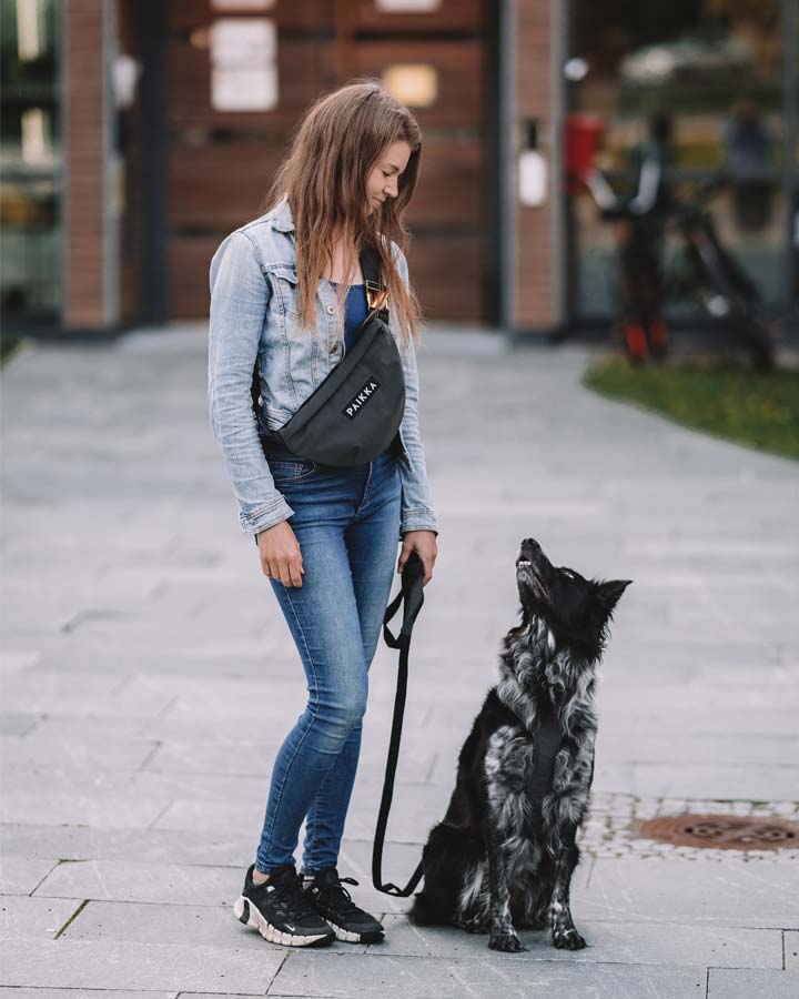 Dog walking with Paikka Treat Bag