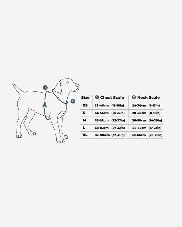 Comfort Walk Air Dog Harness Size Guide