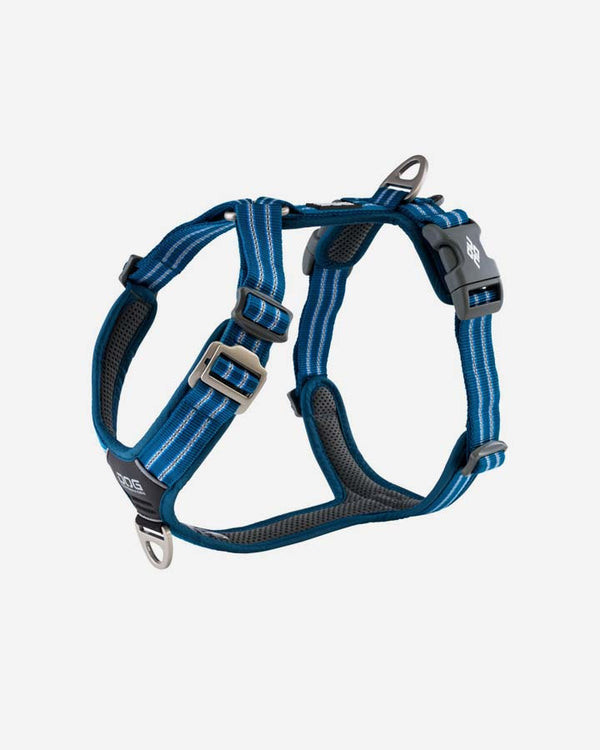 Comfort Walk Air Dog Harness - Ocean Blue - PetLux