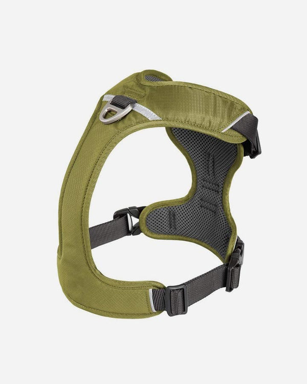 Comfort Walk Pro - Dog Harness - Green